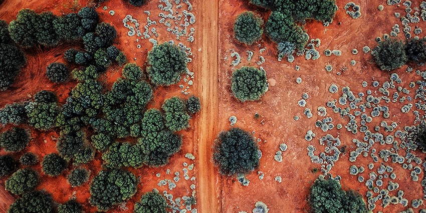 Red earth and green bushes from the air