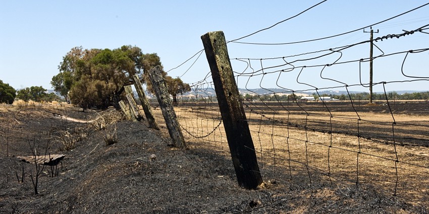 Barrier fence bordering extremely dry paddock