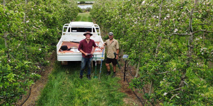 DPIRD scientists Bill Bateman and Manjimup apple grower Mark Bamess in orchard