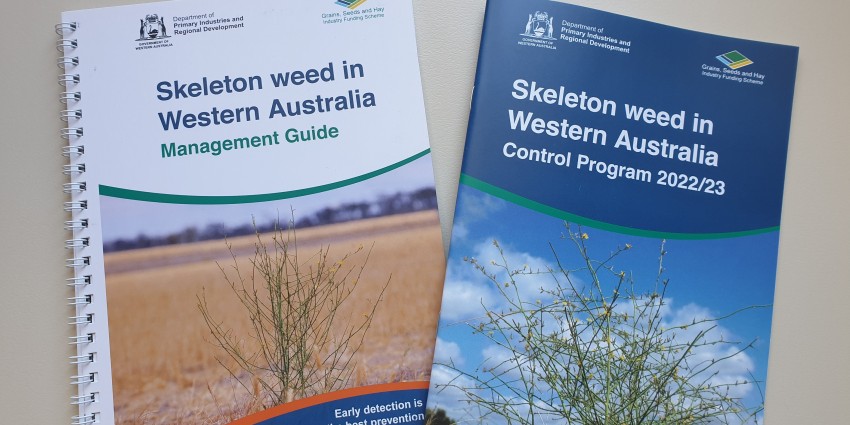 Layout of two documents, Skeleton weed in Western Australia Management Guide and Control Program 2022/23