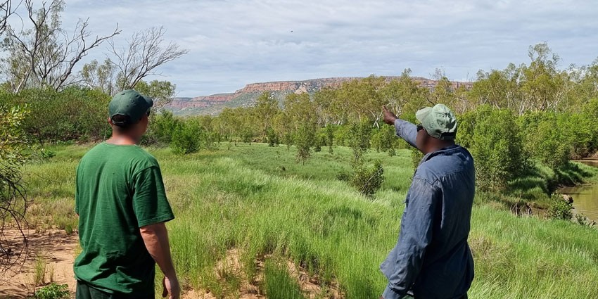 Prisoners partner Traditional Owners in rehabilitation of ecologically rich bush