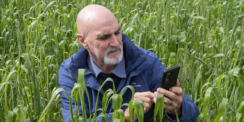 National Science Week 2022: DPIRD research trial information at users ...