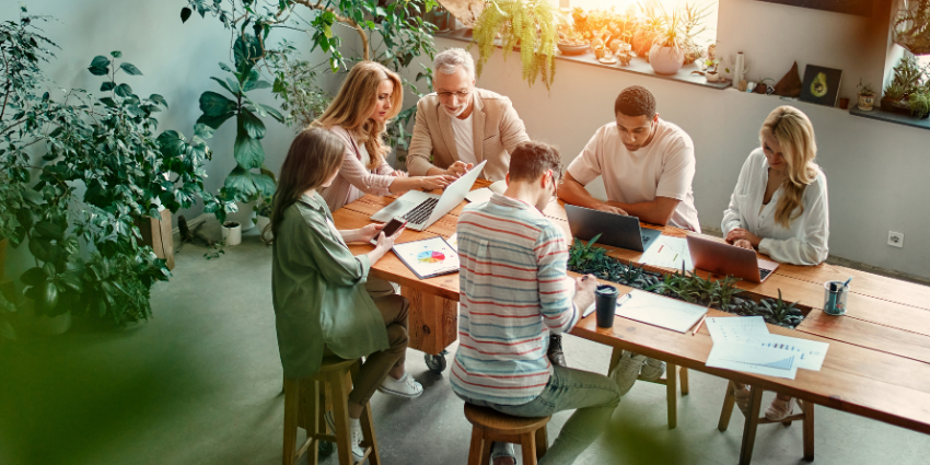 Image of a group of people seated at a wooden table working off laptops in a light and airy office space filled with greenery