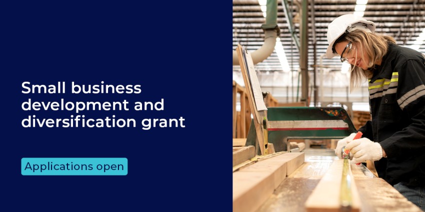 On a navy blue background is the text "Small business development and diversification grant" and "applications open" button. Next to this text is a photograph of a female wood worker in a warehouse.   