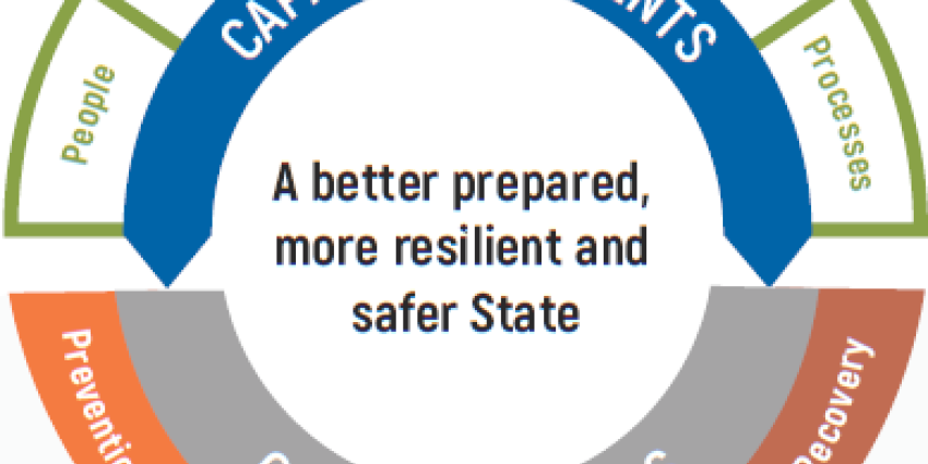 A wheel incorporating capability elements and core capabilities
