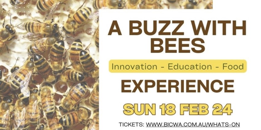 promotional information for Buzz with Bees experience