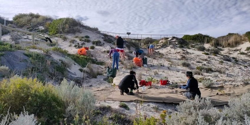 Cambridge Coastcare Floreat Beach