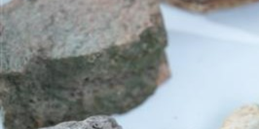 Chief Scientist landing page navigation card 4