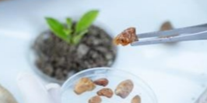 Chief Scientist landing page navigation card 5