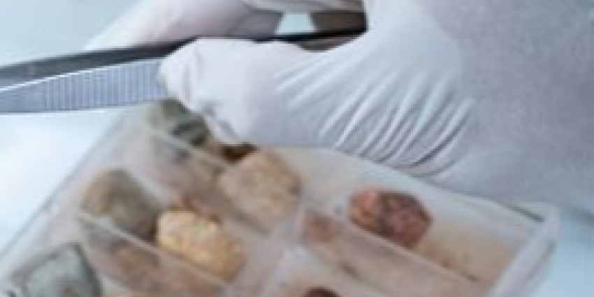 Chief Scientist landing page navigation card 6