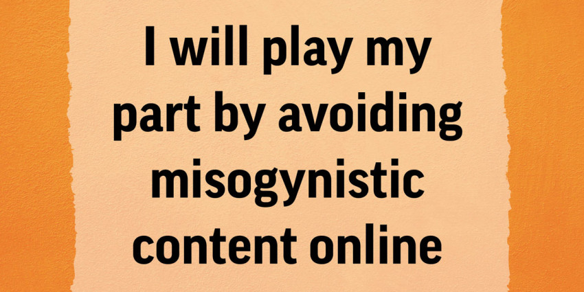 Colourful graphic with the words "I will play my part by avoiding misogynistic content online"