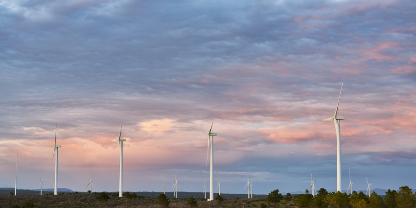 a row of windmills, at sunset