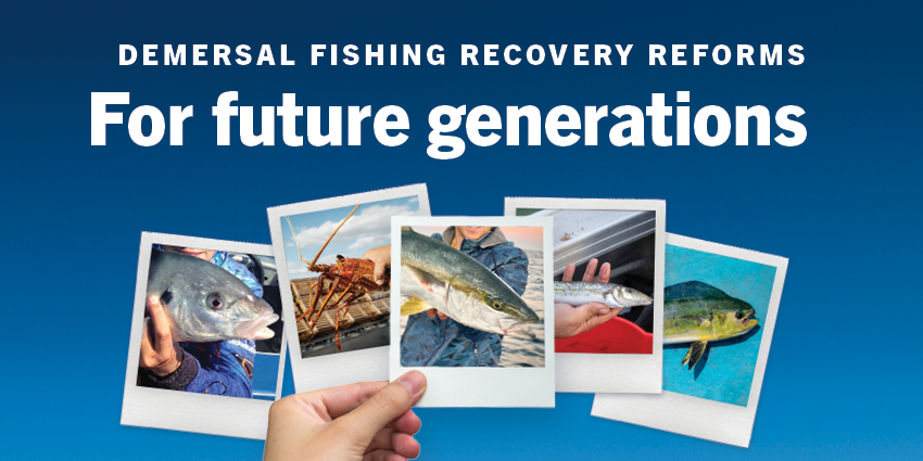 New statewide reforms for demersal fishing in WA