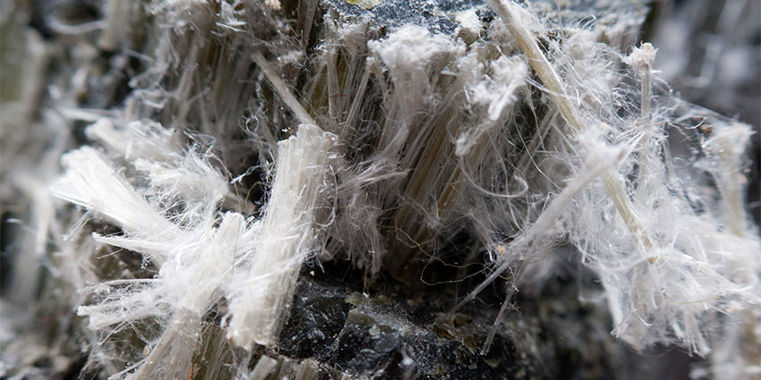 Asbestos chrysotile fibers 