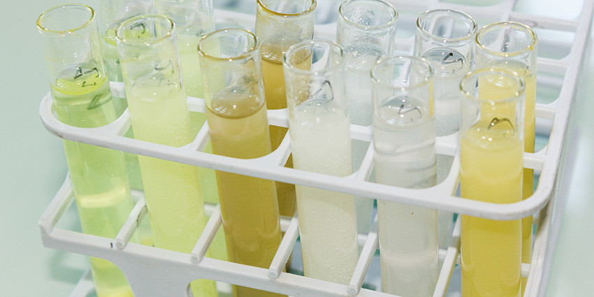 Find an asbestos removalist and testing lab