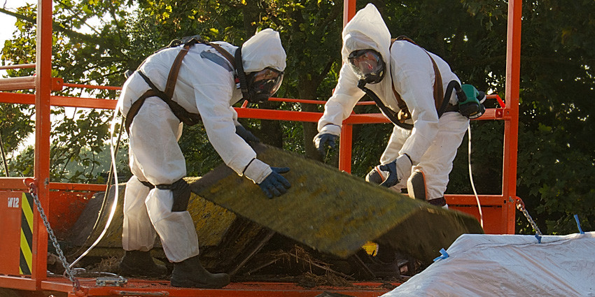 Asbestos workers and removalists