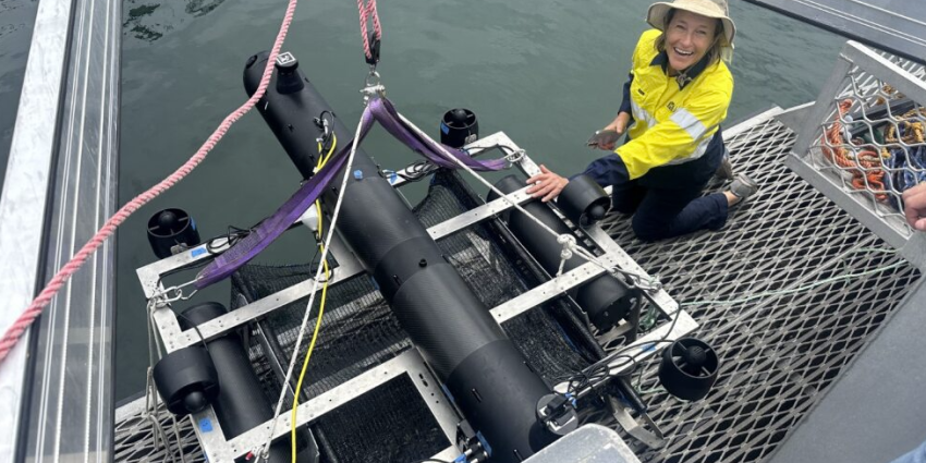 Person holding a fish