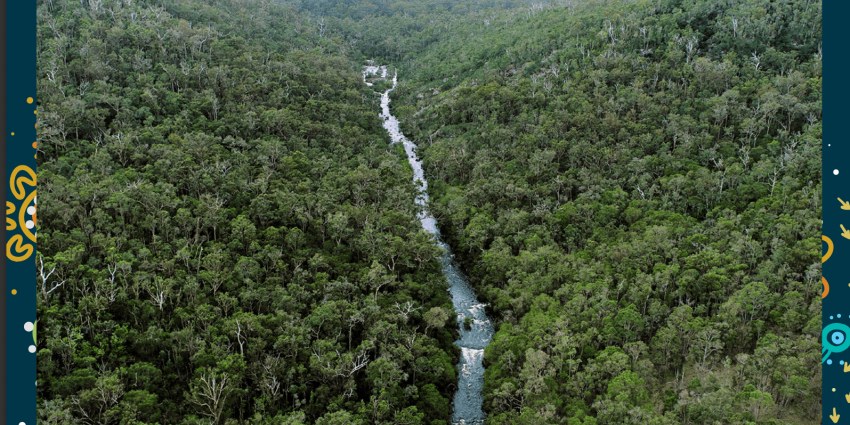 Aerial view of a winding river flowing through dense green forest.
