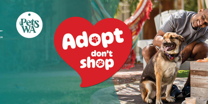 Adopt, Don't Shop