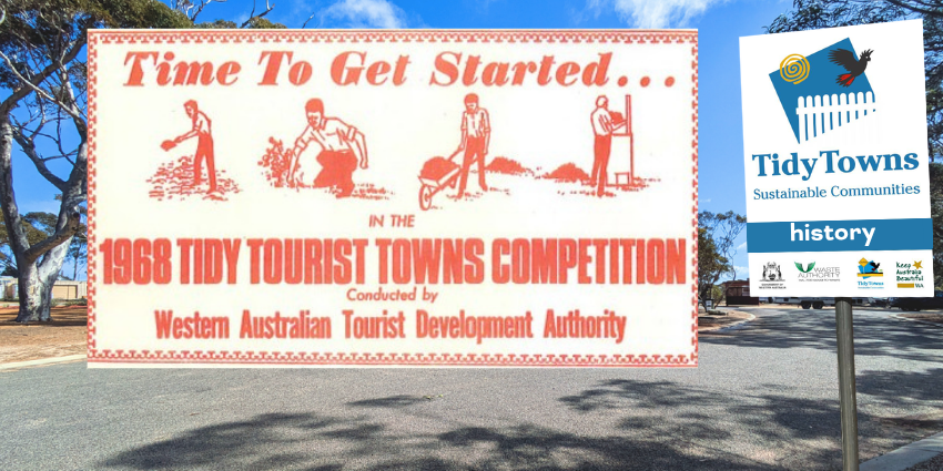 history of tidy towns