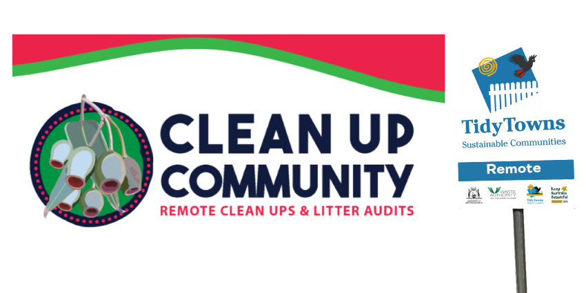 remote community clean ups and audits