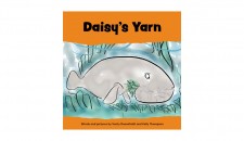 Cover page for children's book called Daisy's Yarn, by Verity Roennfeldt and Kelly Thompson.