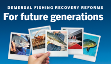 New statewide reforms for demersal fishing in WA