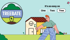 treebate web tile