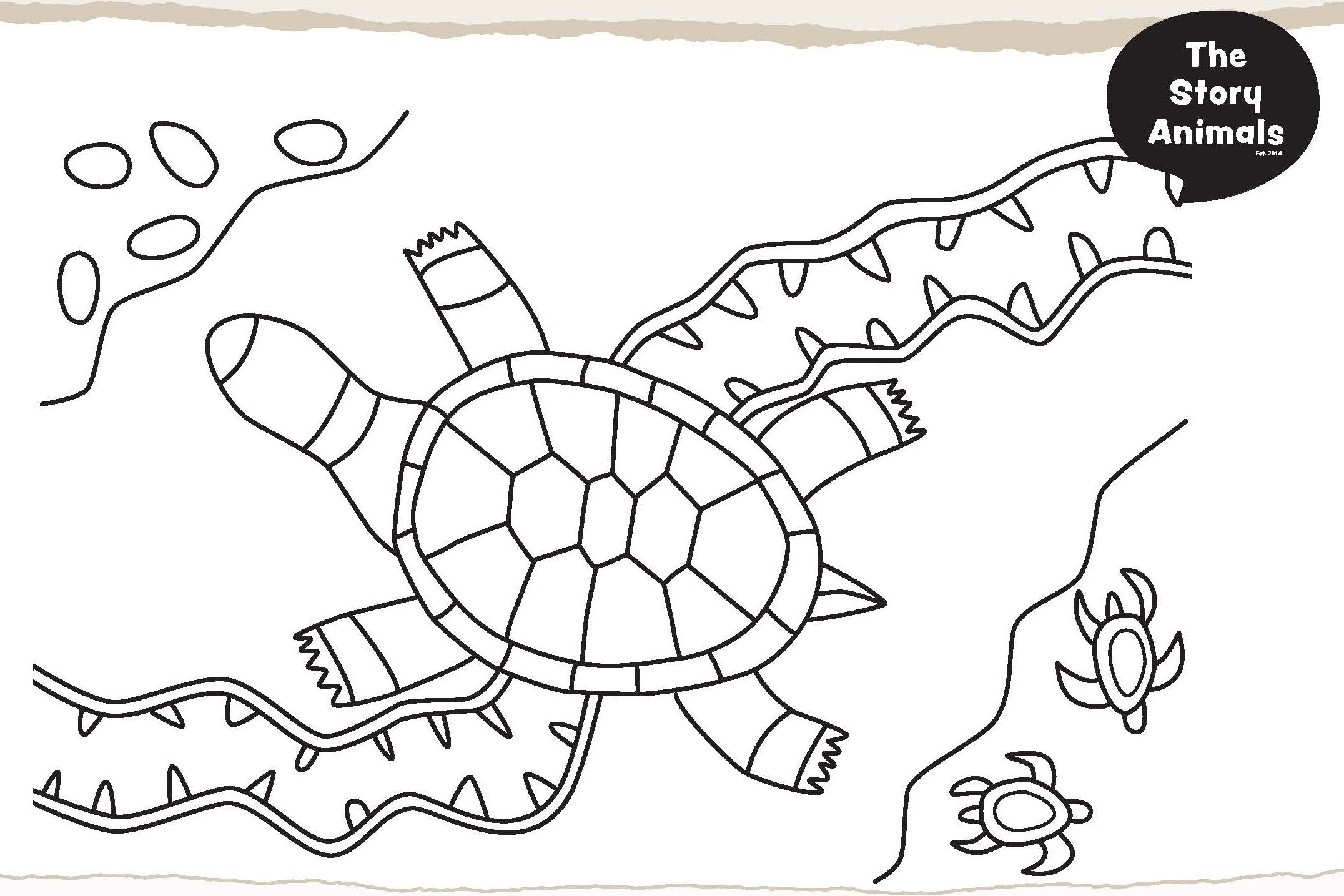 Drawing of adult turtle and baby turtles